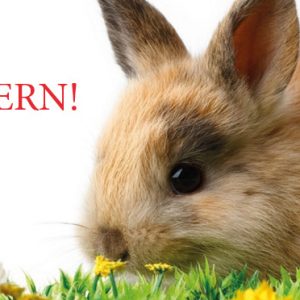 Frohe Ostern!
