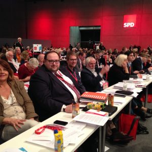 Auf dem Bundesparteitag 2015: Blick in die Delegiertenreihen.