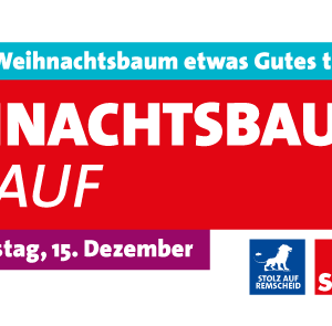 Weihnachtsbaumverkauf 2016