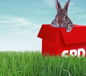 Frohe Ostern! Ihre SPD Remscheid