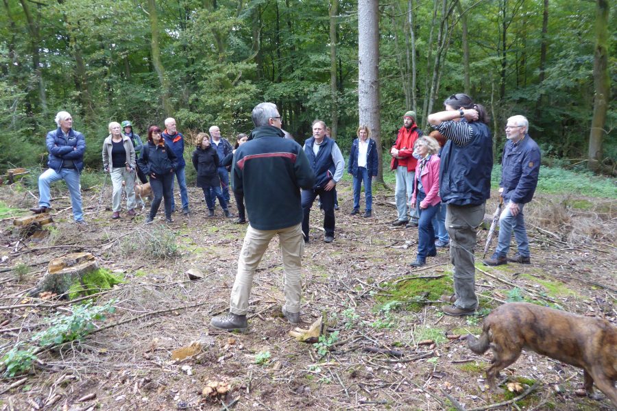 Lenneper Waldspaziergang 2019